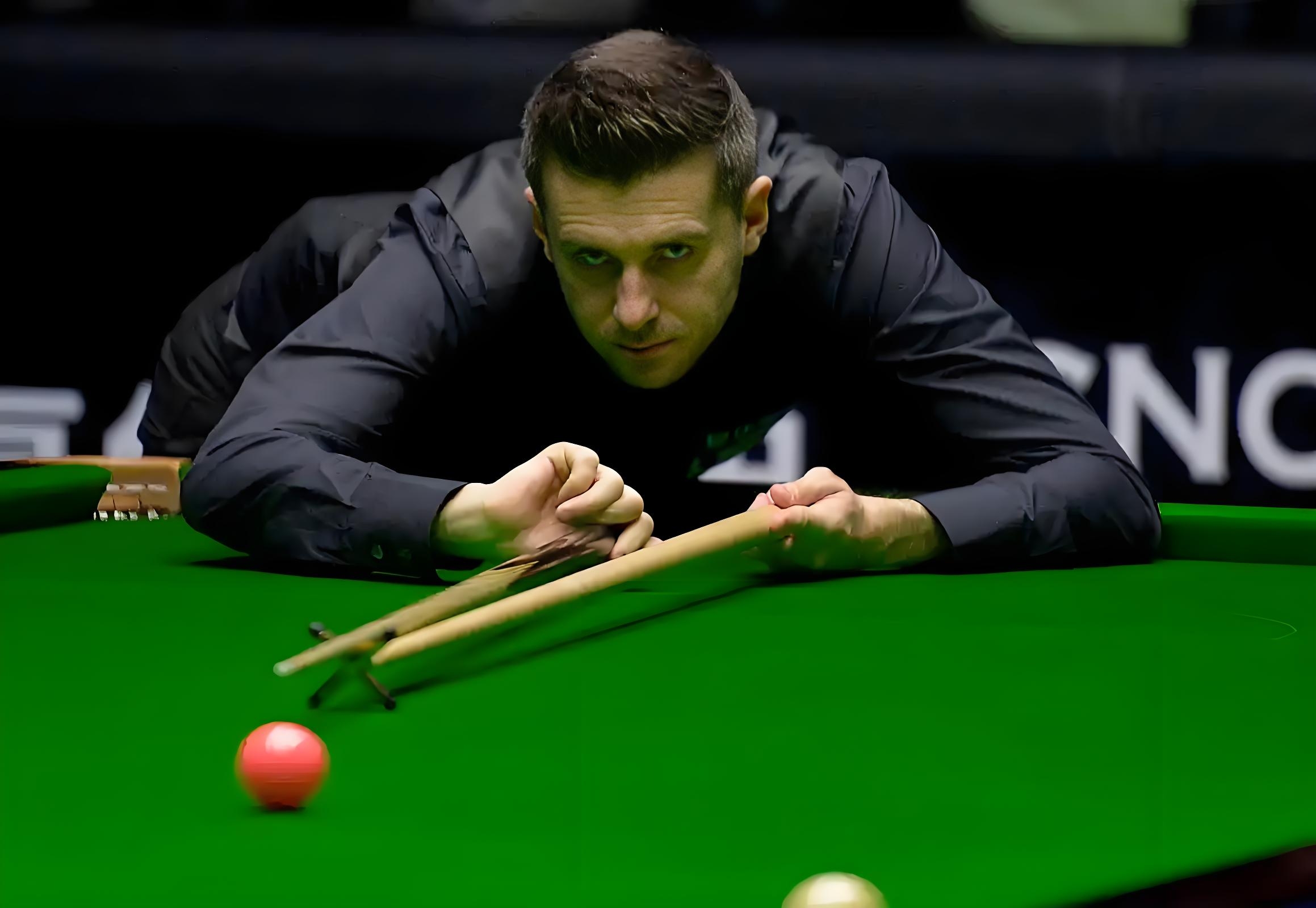 既定的明星 既定的明星