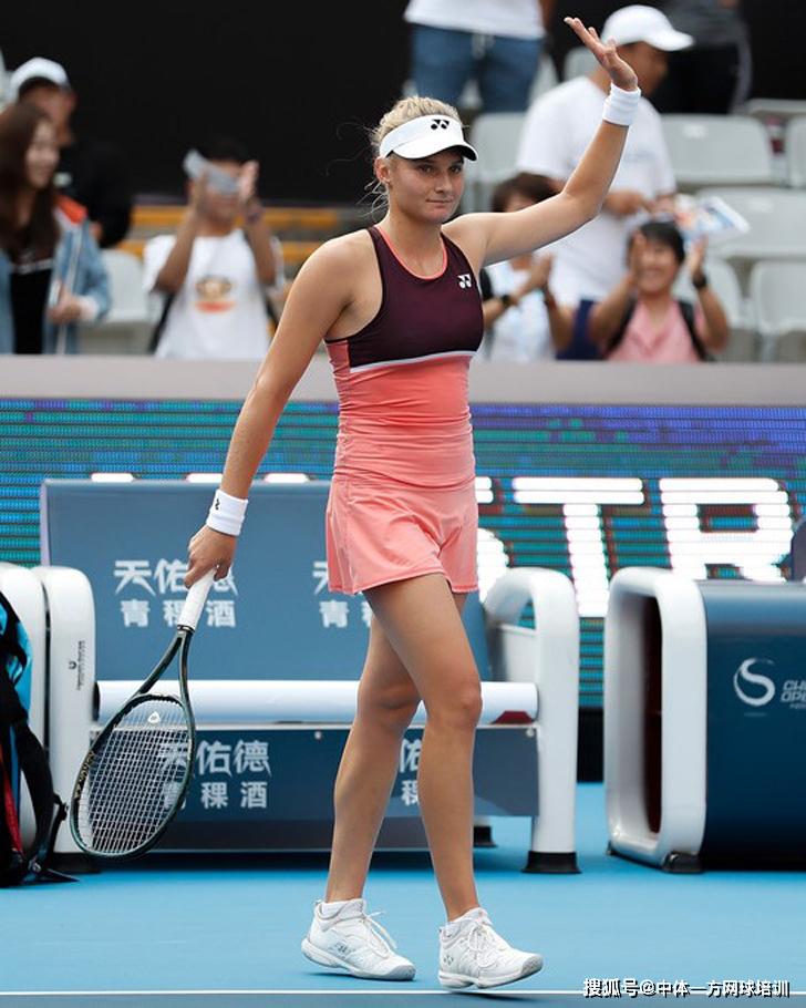 坡羽毛球书 坡羽毛球书