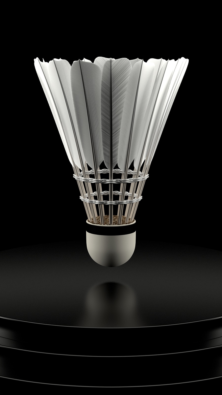 年轻人能够 年轻人能够