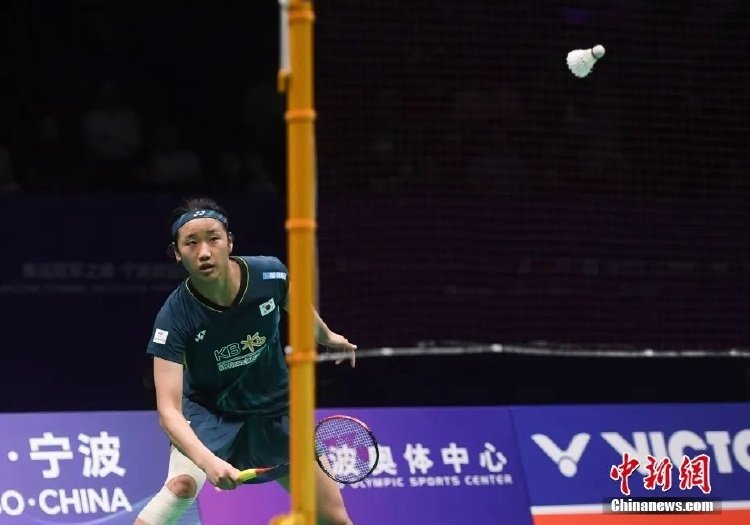 意不仅是对 意不仅是对