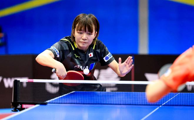 无论是苏塔 无论是苏塔